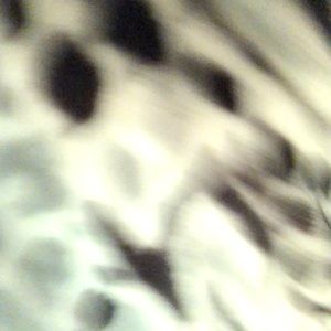 Meet your Posher, Ashlee